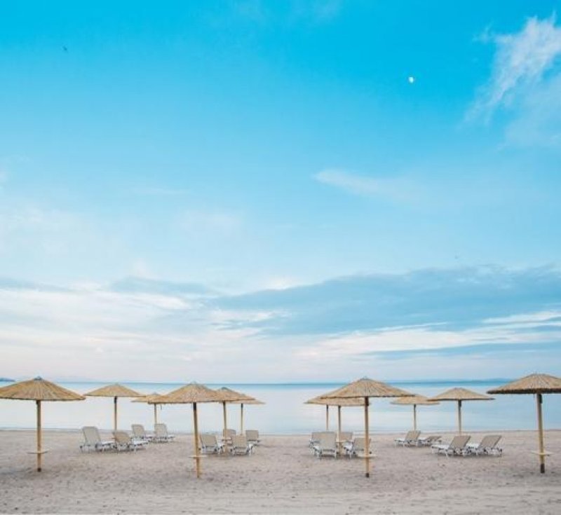 Olea Mare - Снимка 11