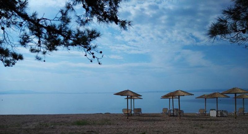 Olea Mare - Снимка 9