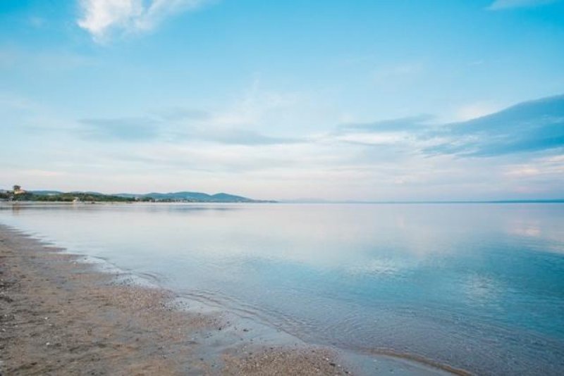 Olea Mare - Снимка 10