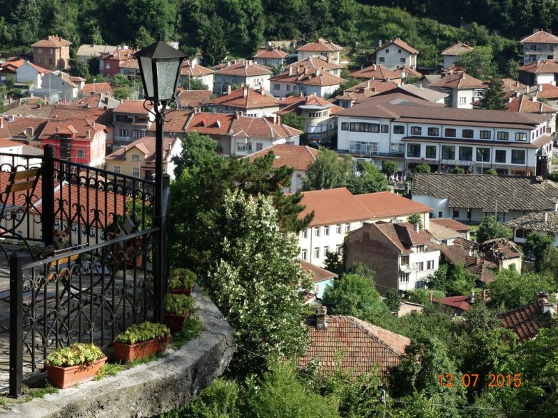 Kомплекс Бръшлян - Снимка 10