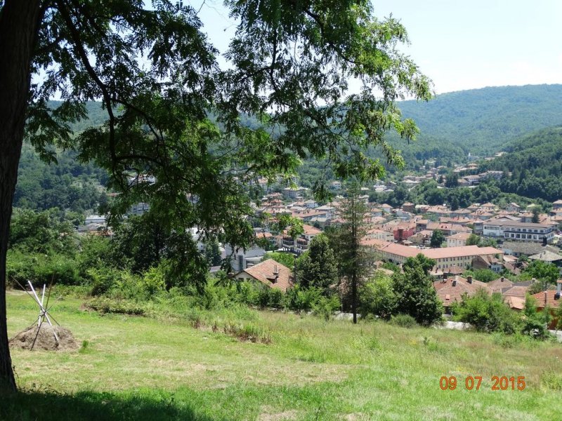 Kомплекс Бръшлян - Снимка 8