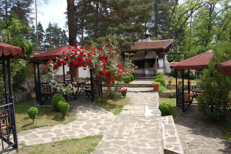 Kомплекс Бръшлян - Снимка 8