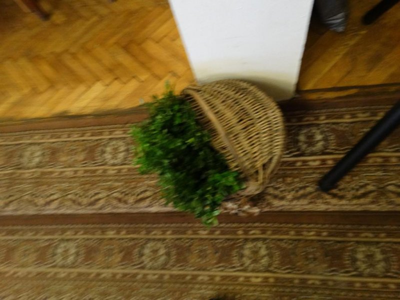 Kомплекс Бръшлян - Снимка 5