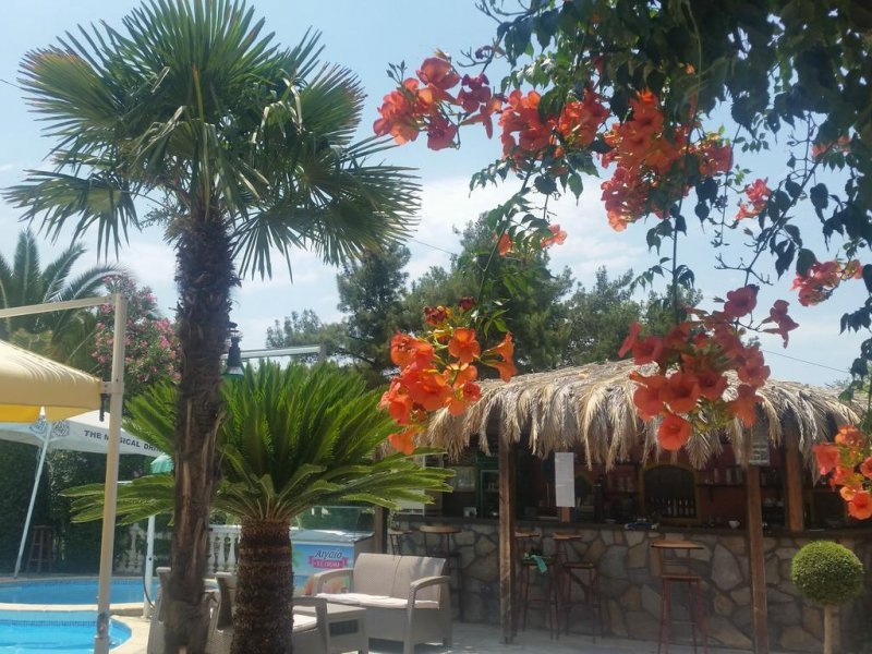 Hotel Potos - Снимка 8