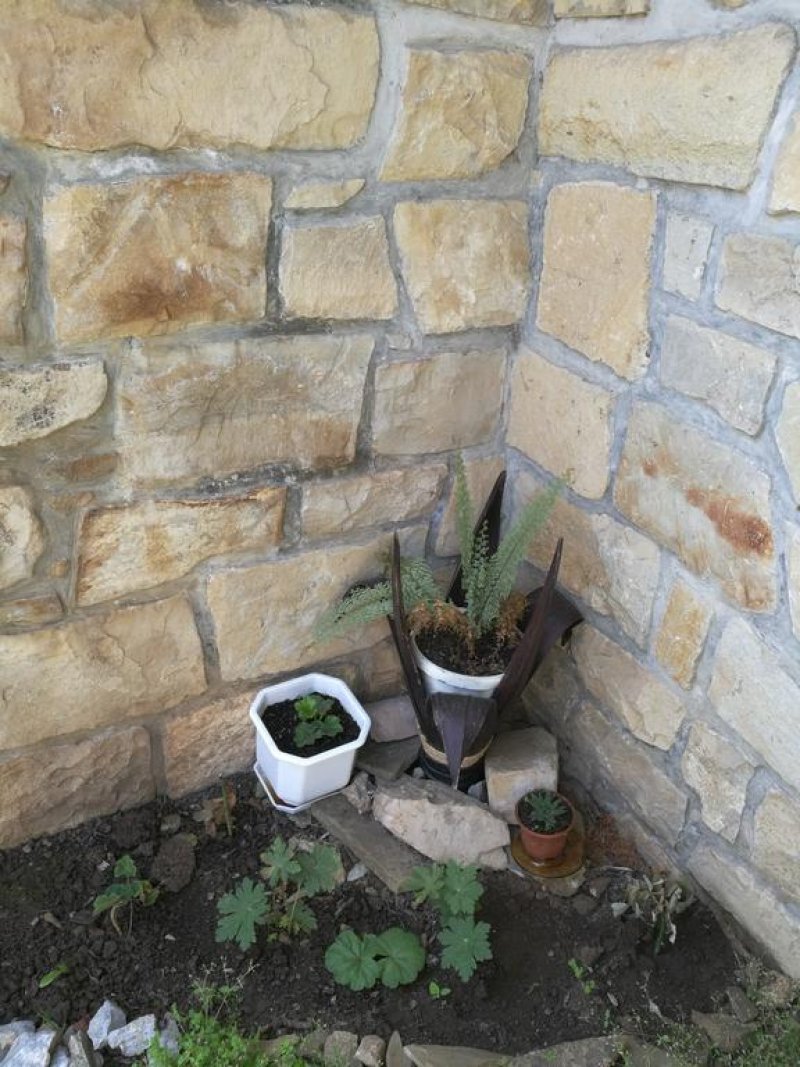 Хотел Перла - Снимка 8