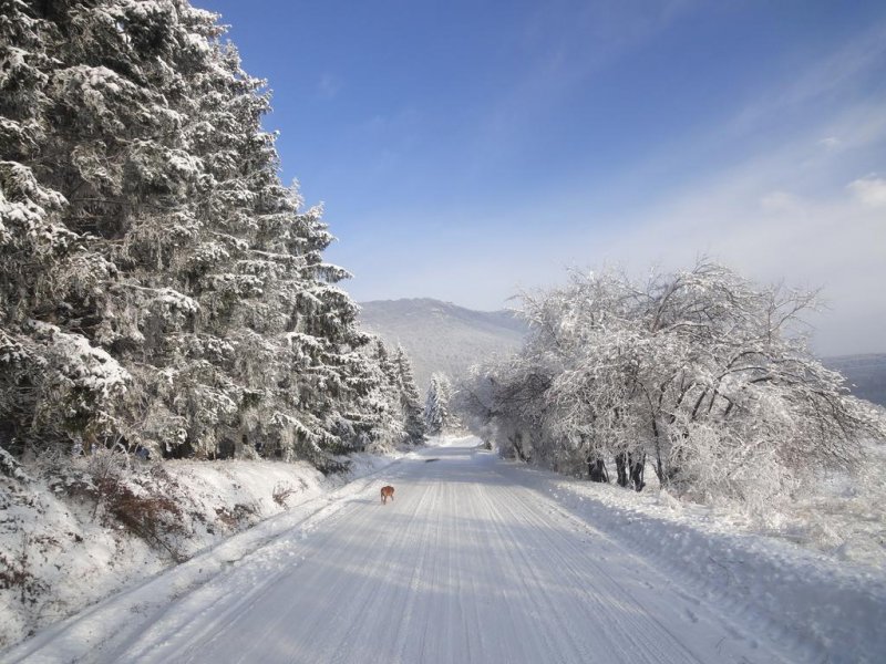 Хотел Гарванец - Снимка 10