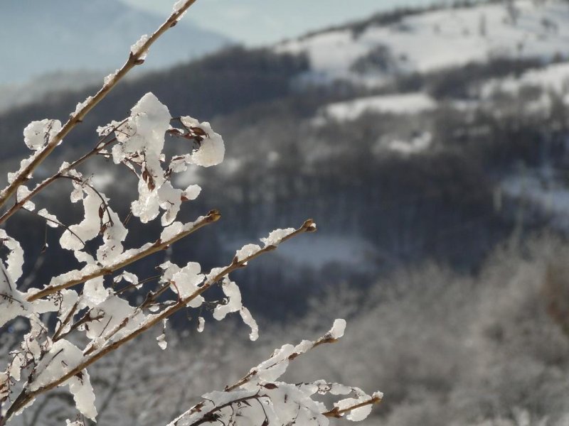 Хотел Гарванец - Снимка 4