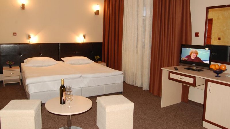 Хотел Родина - Снимка 10