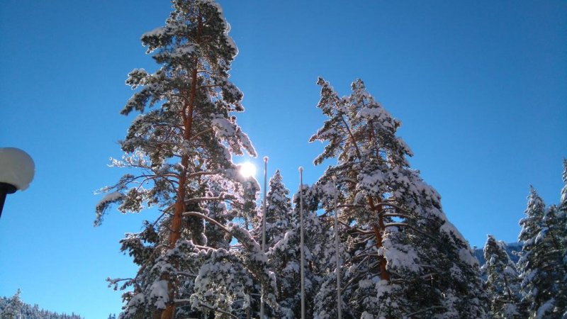 Хотел Магнолия - Снимка 2