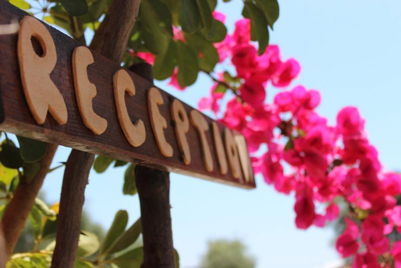 Lichnos Bay Village - Снимка 7