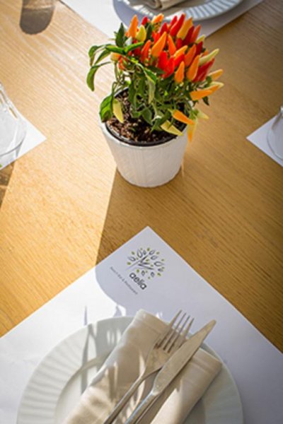 Nefeli Villas and Suites - Снимка 8