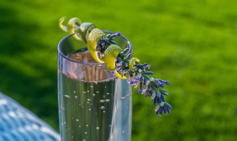 Avaton Luxury Villas Resort - Снимка 2