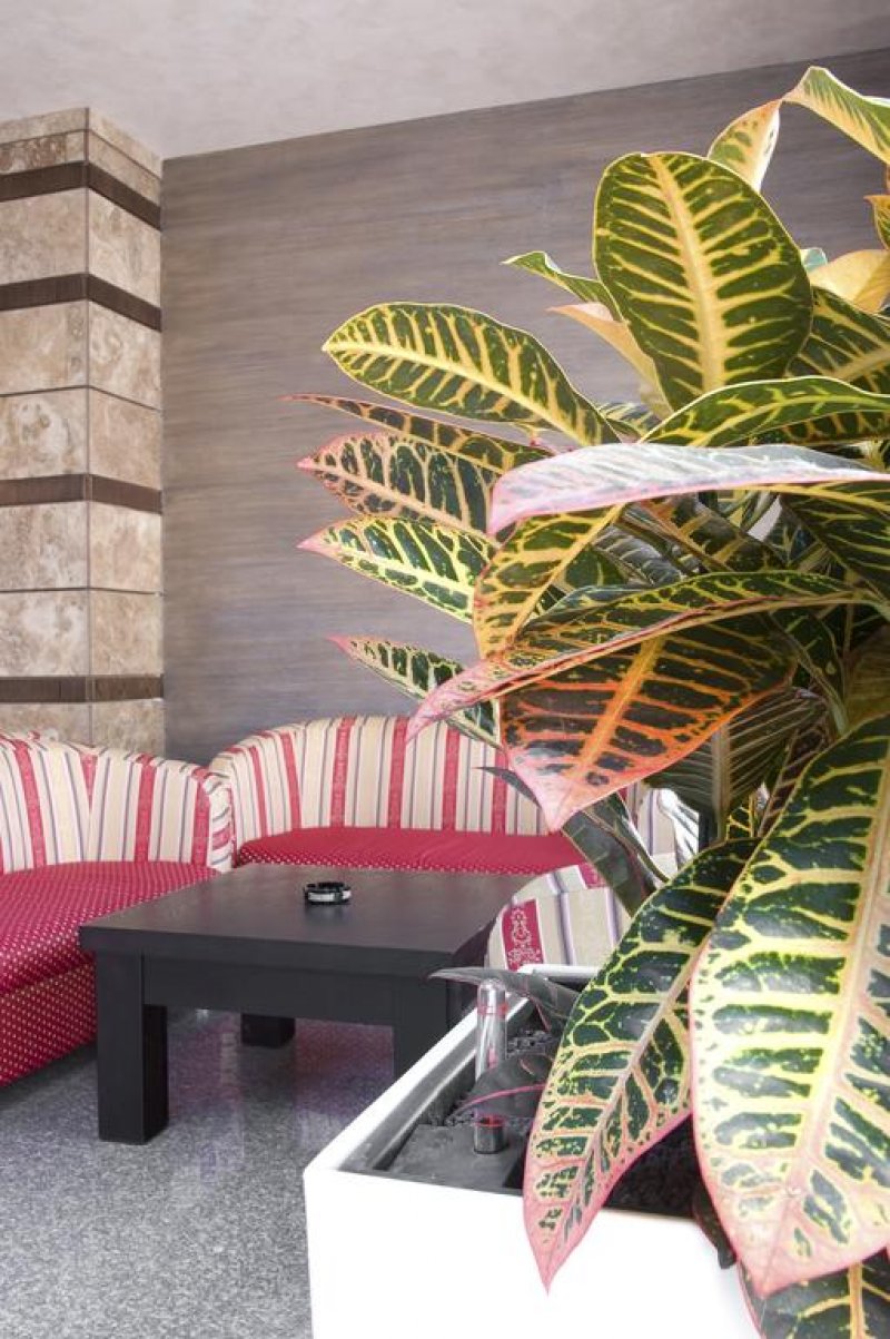 Хотел Детелина - Снимка 9