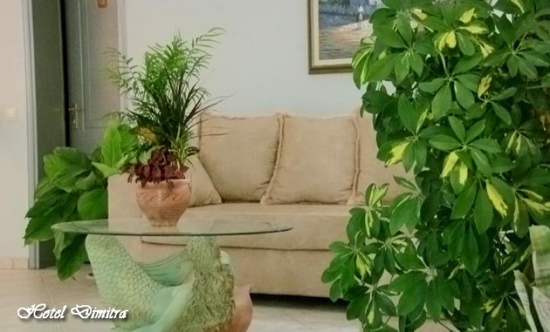 Hotel Dimitra - Снимка 5