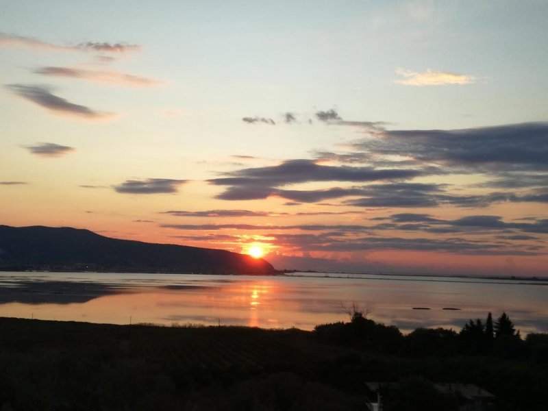 Adani Hotel - Снимка 8