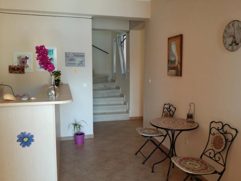 Asterida - Снимка 5