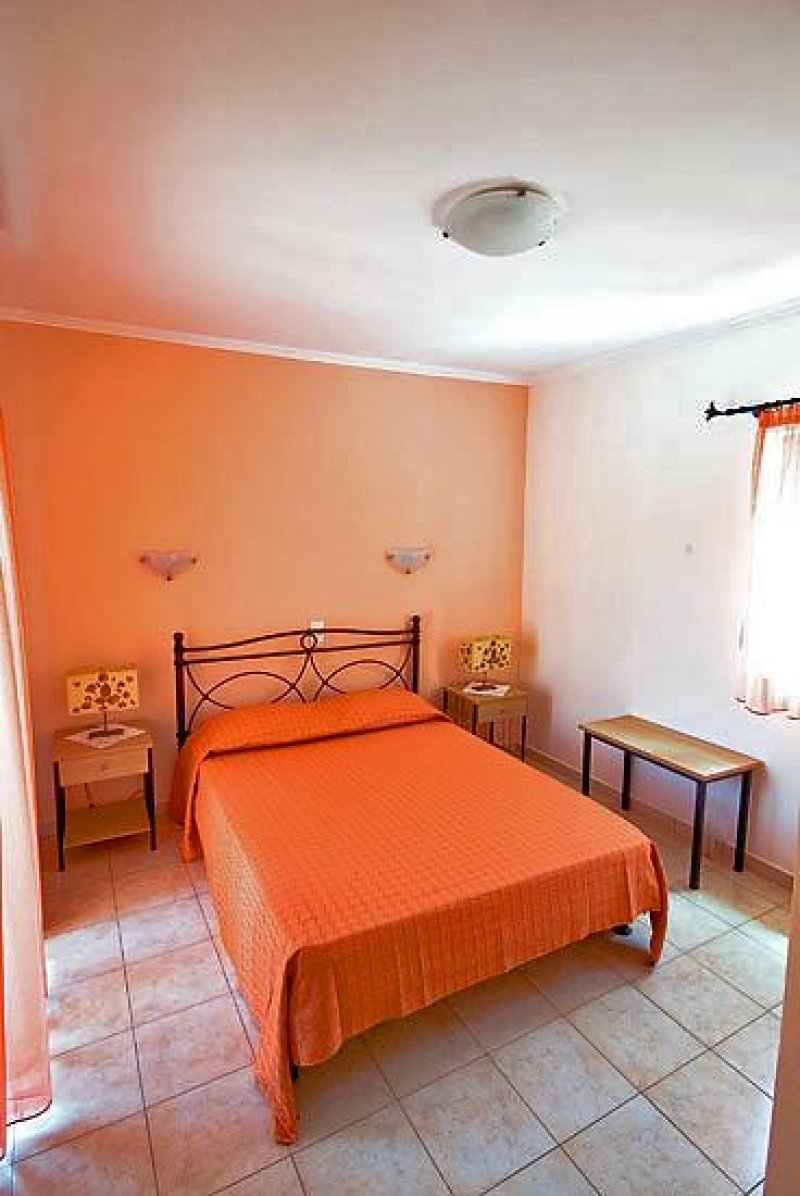 Asterida - Снимка 8