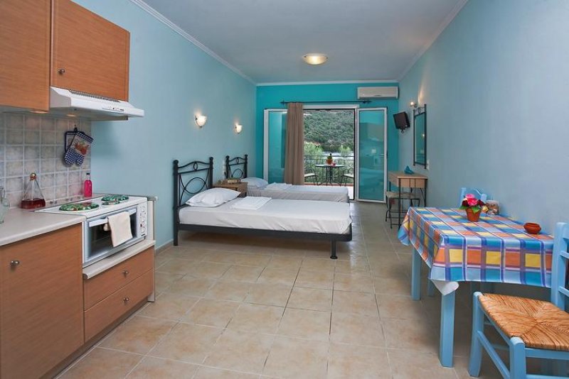 Asterida - Снимка 2