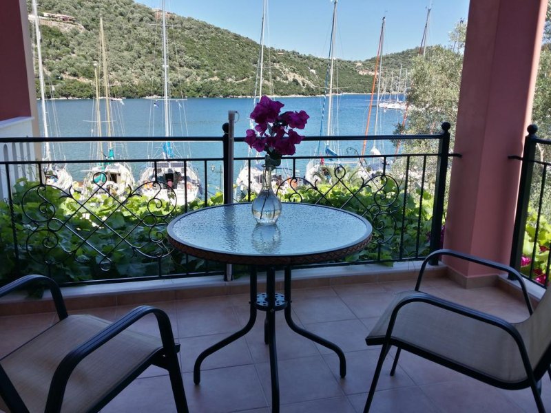 Asterida - Снимка 11