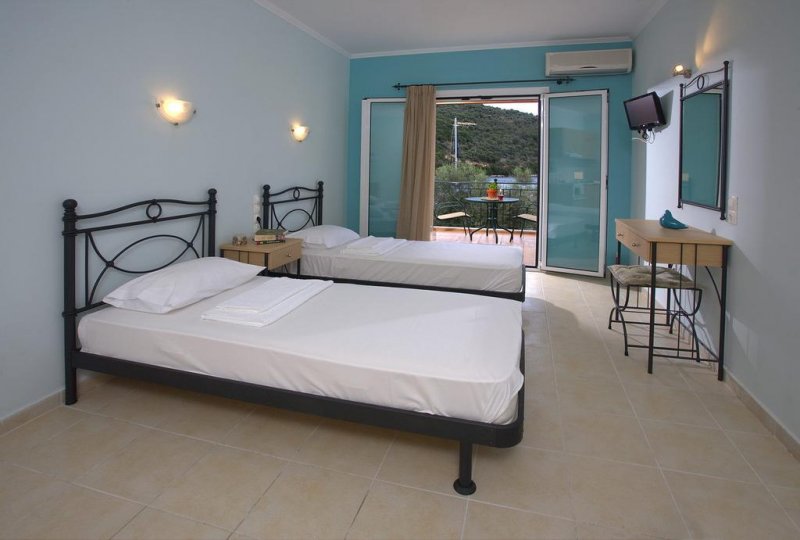 Asterida - Снимка 9