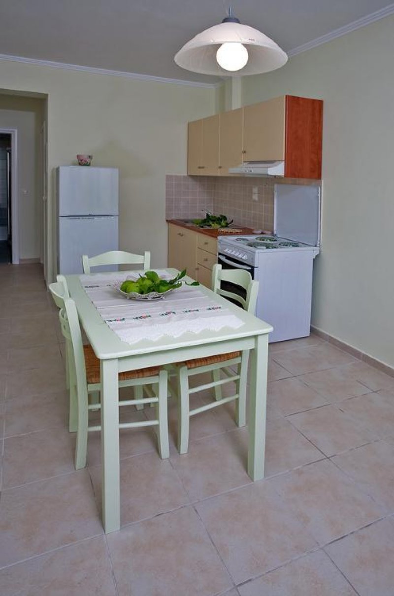 Asterida - Снимка 1