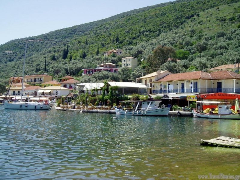 Asterida - Снимка 7