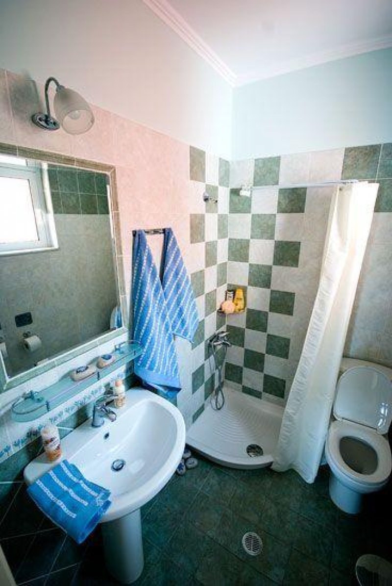 Asterida - Снимка 10