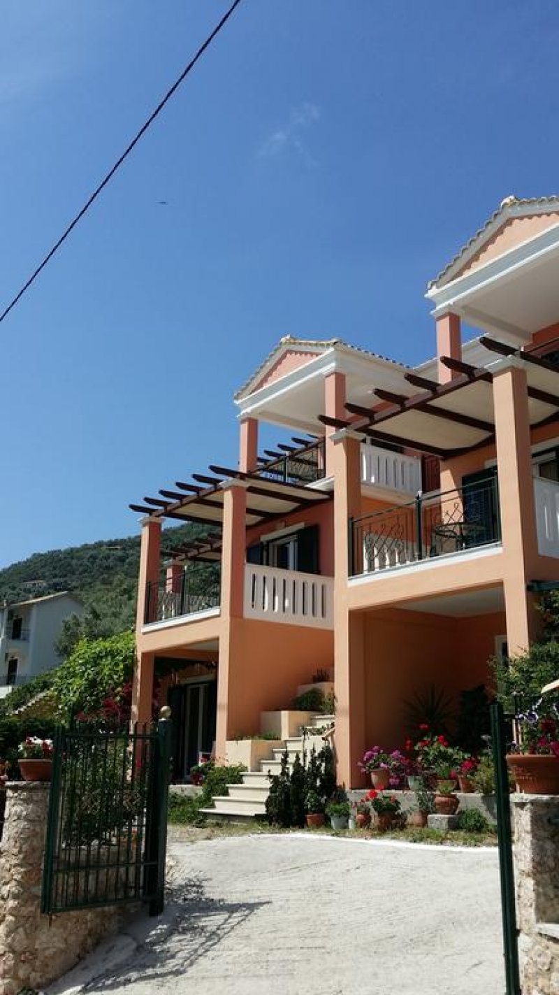 Asterida - Снимка 3