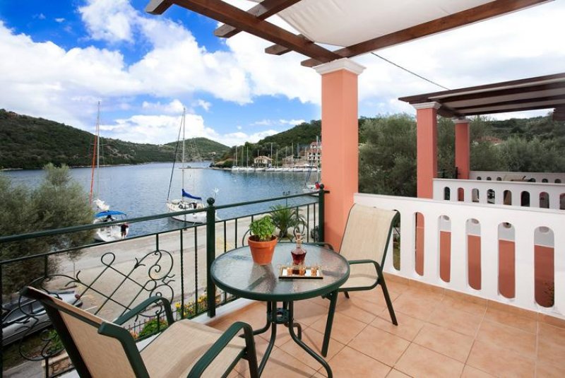 Asterida - Снимка 2