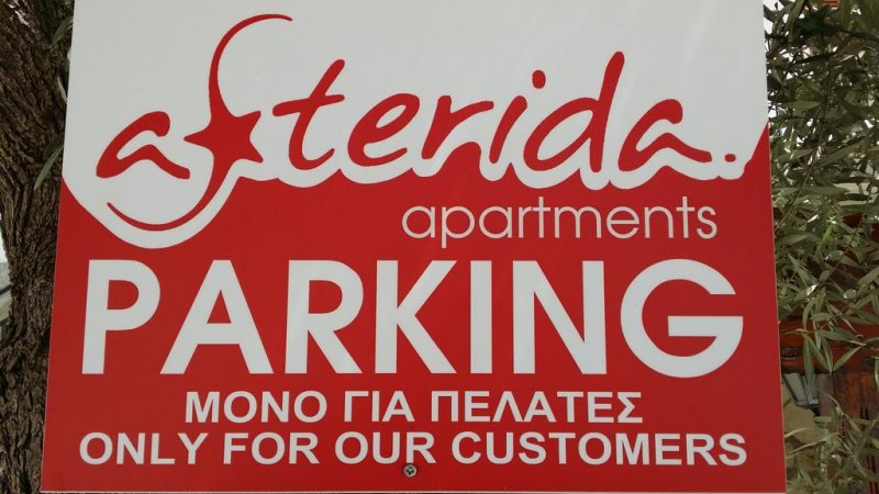 Asterida - Снимка 4