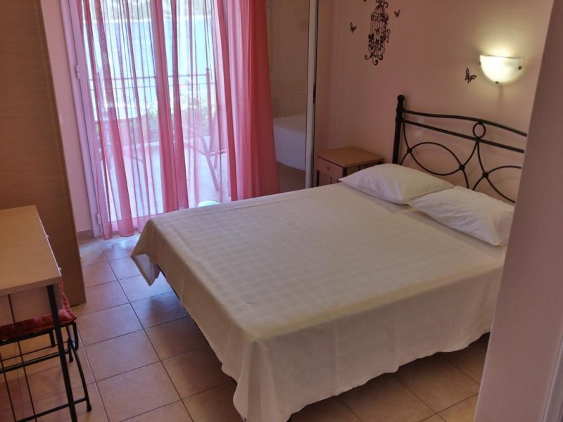 Asterida - Снимка 8