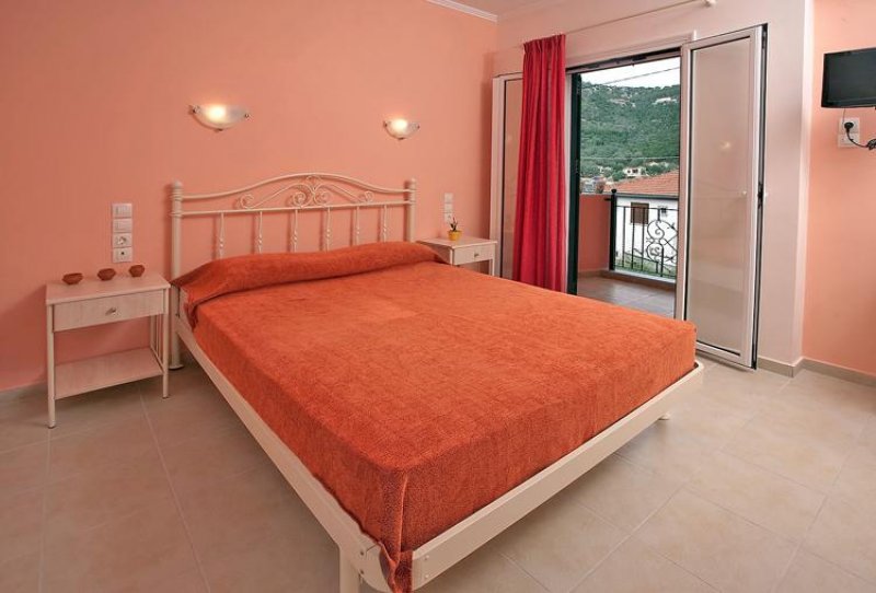 Asterida - Снимка 10