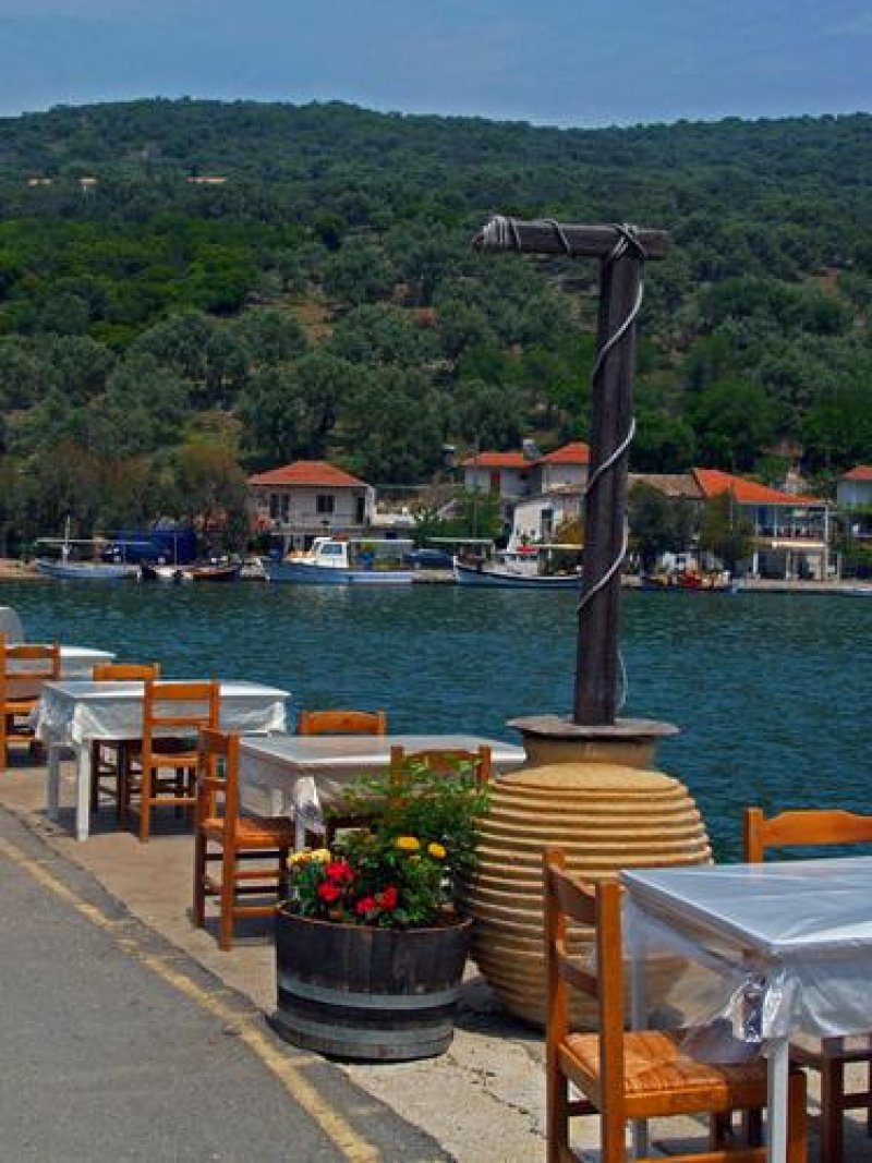 Asterida - Снимка 1