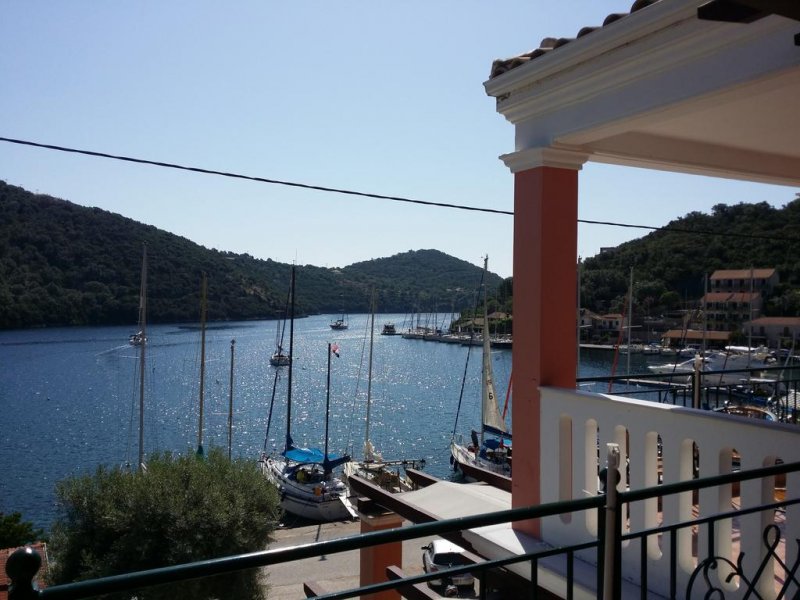 Asterida - Снимка 2