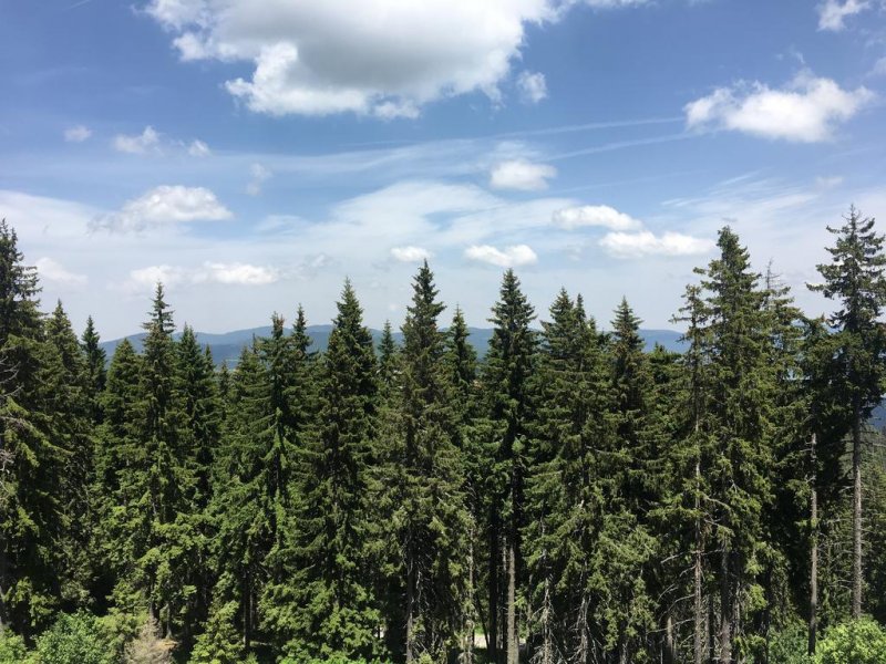 Хотел Bellevue Ski & Spa - Снимка 9