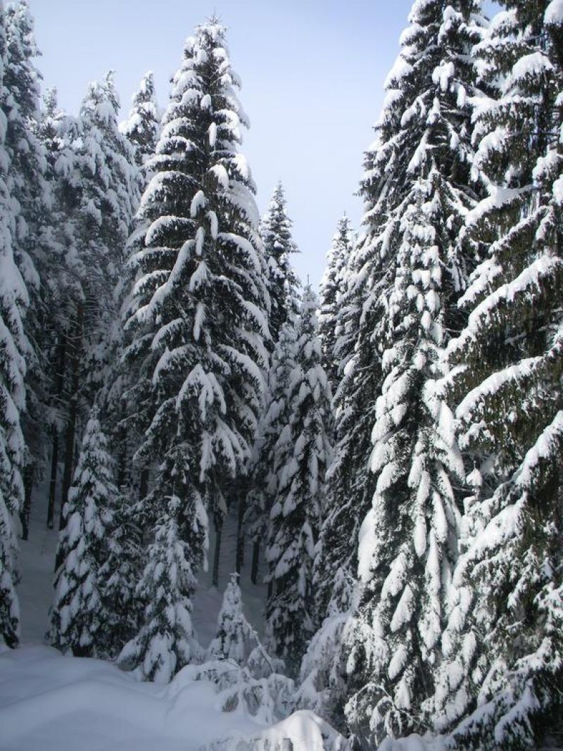 Хотел Катерина - Снимка 3