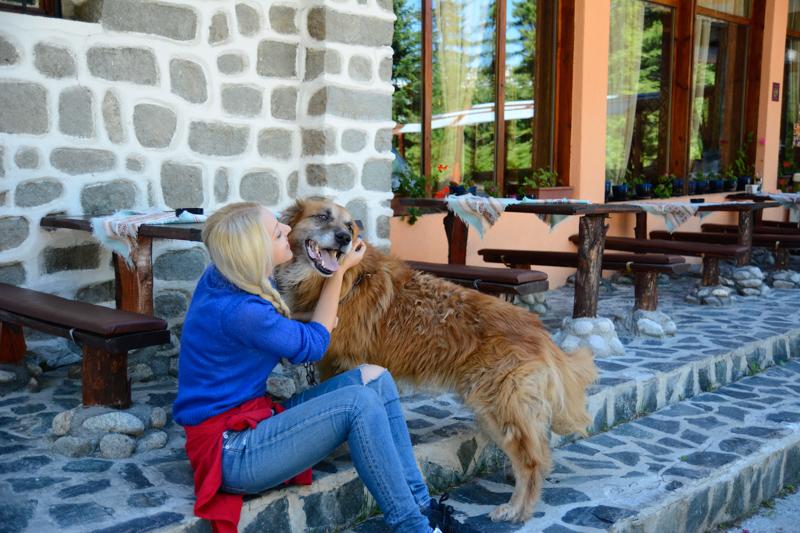 Хотел Катерина - Снимка 4