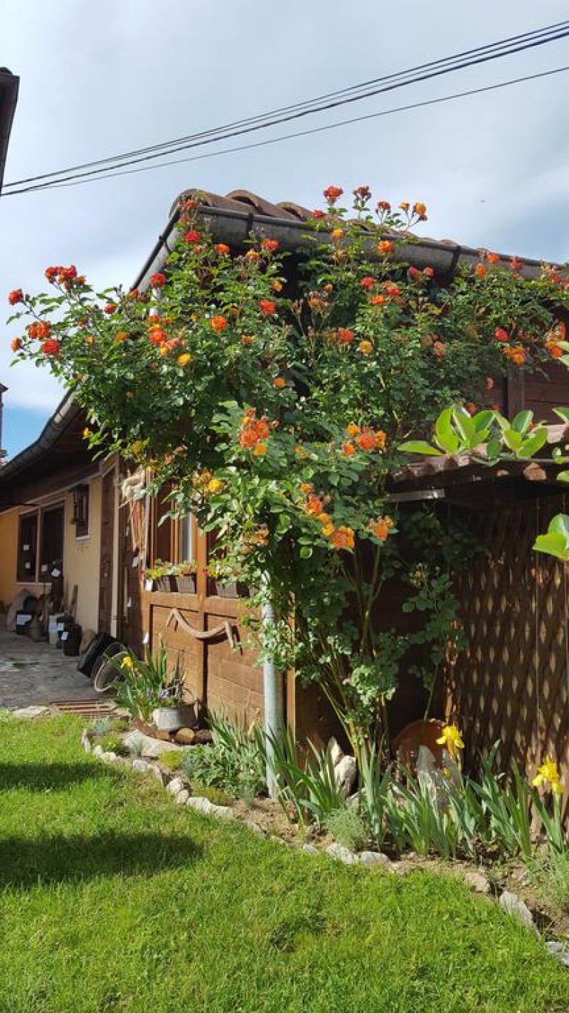 Kъща за гости Колорит - Снимка 3