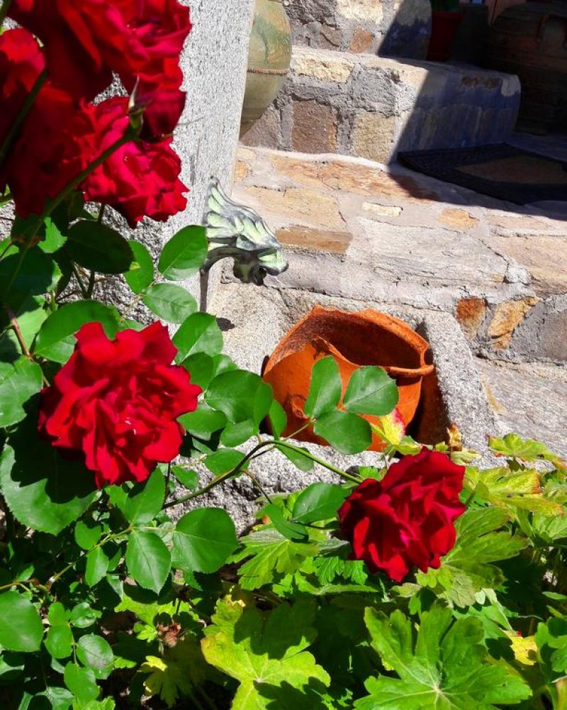 Kъща за гости Колорит - Снимка 8