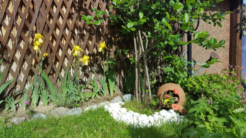 Kъща за гости Колорит - Снимка 1