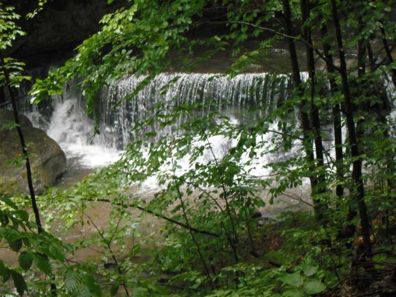 Хотел Биле - Снимка 4