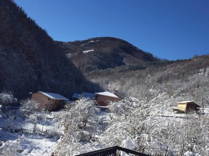 Къщи за гости Робин Худ - Снимка 11