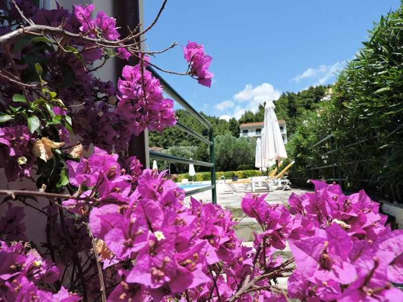 Julia Hotel Fourka - Снимка 11