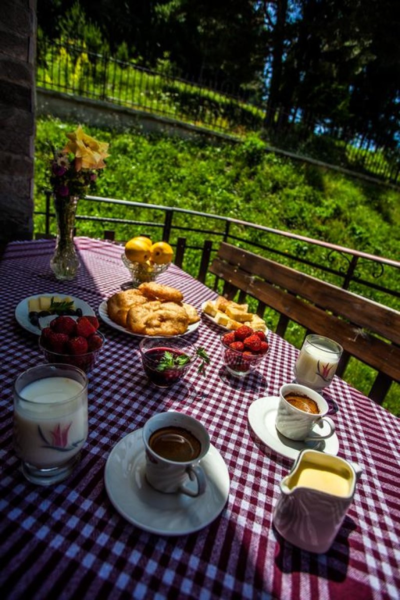 Ваканционни къщи Родопски уют - Снимка 10