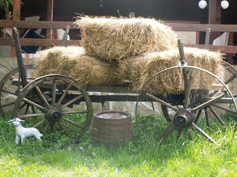 Комплекс Бряста - Снимка 2