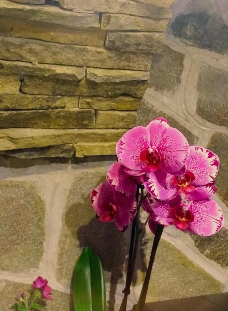 Къща за гости Вълчановата къща - Снимка 1