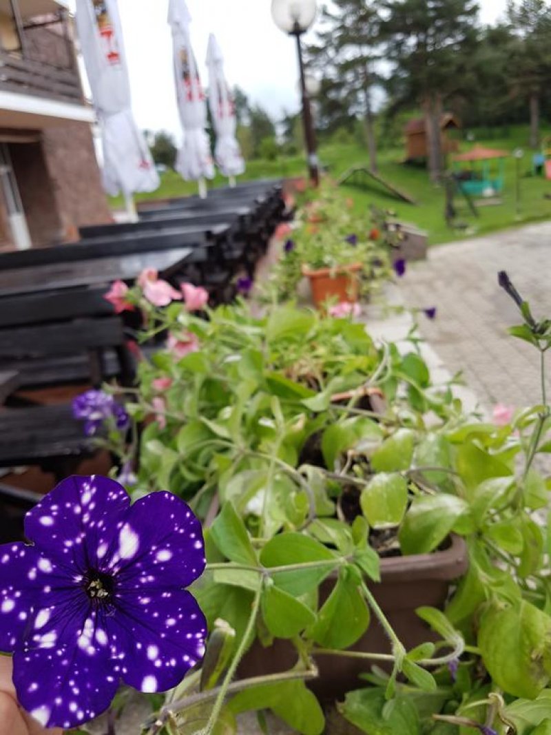 Хотел Панорама - Снимка 10