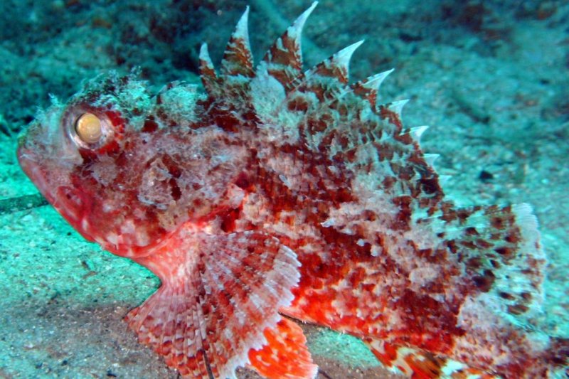 Istion Club & Spa - Снимка 9