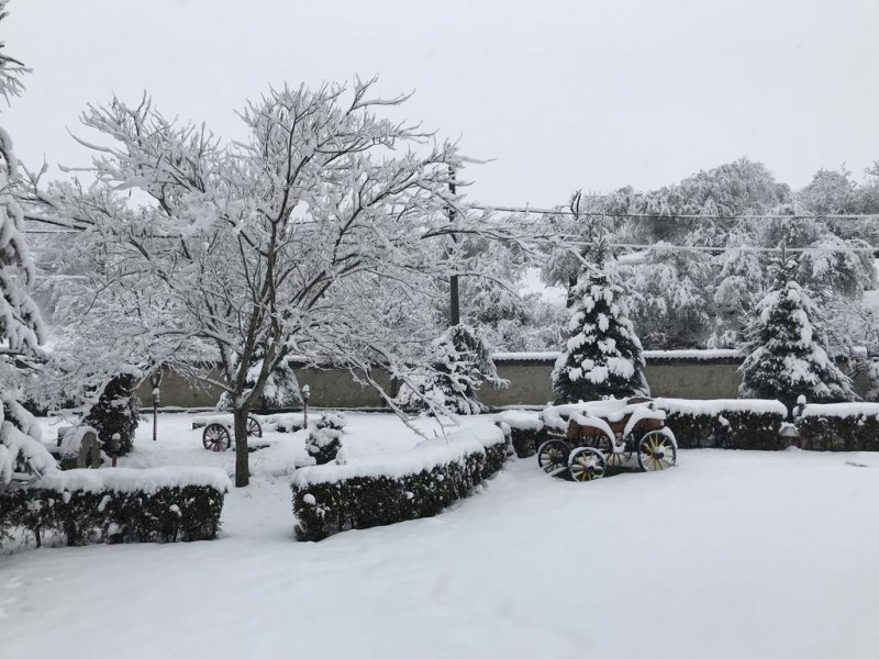 Хотелски комплекс Дивеците - Снимка 5