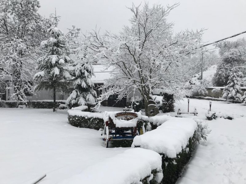 Хотелски комплекс Дивеците - Снимка 5